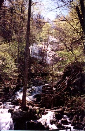 Crab Tree Falls pix 2